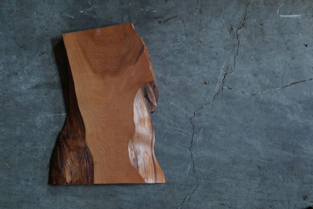 倉庫から綺麗な木目の杉板を発見💡
何かに使えそうだな‥

#清水銘木店 #木のあるくらし #木のある暮らし #香川県 #観音寺市 #材木屋 #香川の材木屋 #銘木店 #天然木 #無垢材 #木製品 #家具 #インテリア #一枚板